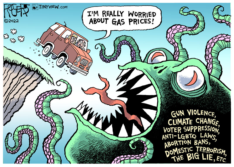 https://cdn.tinyview.com/rob-rogers/2022/06/10/gas-prices/20220610_Gas_Prices.jpg