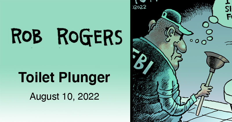 Toilet Plunger