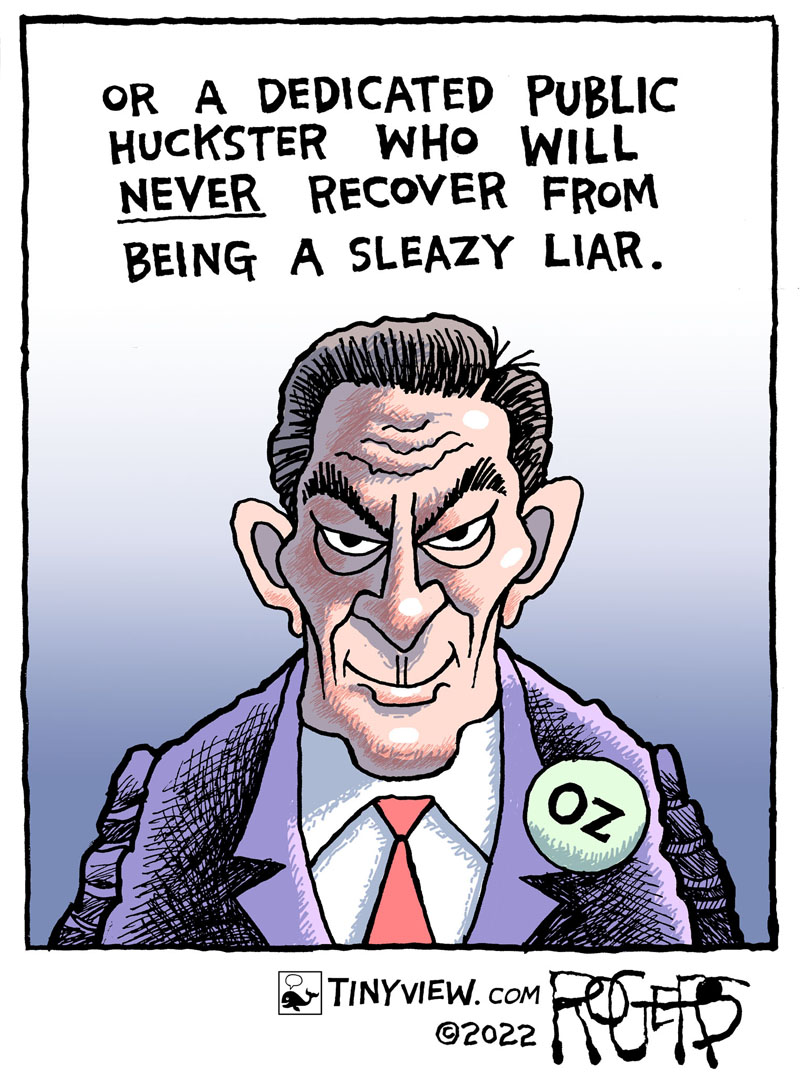 https://cdn.tinyview.com/rob-rogers/2022/11/04/election-choice/20221104_Election_Choice2.jpg