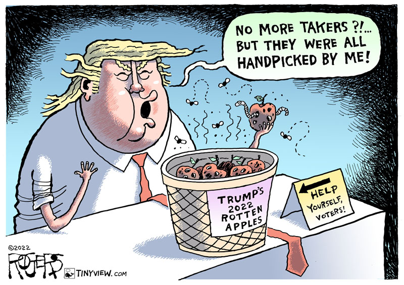 https://cdn.tinyview.com/rob-rogers/2022/11/10/rotten-apples/20221110_Rotten_Apples.jpg