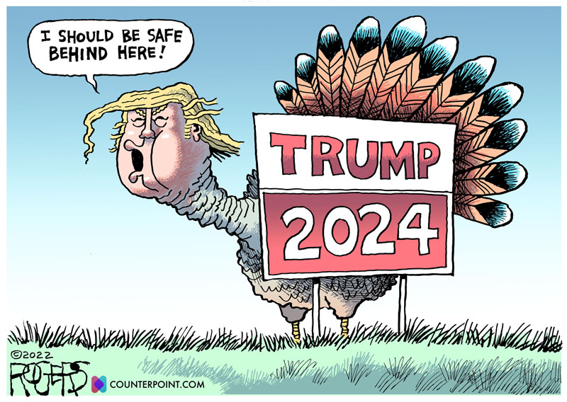 https://cdn.tinyview.com/rob-rogers/2022/11/24/trump-2024/20221124_Trump_2024.jpg