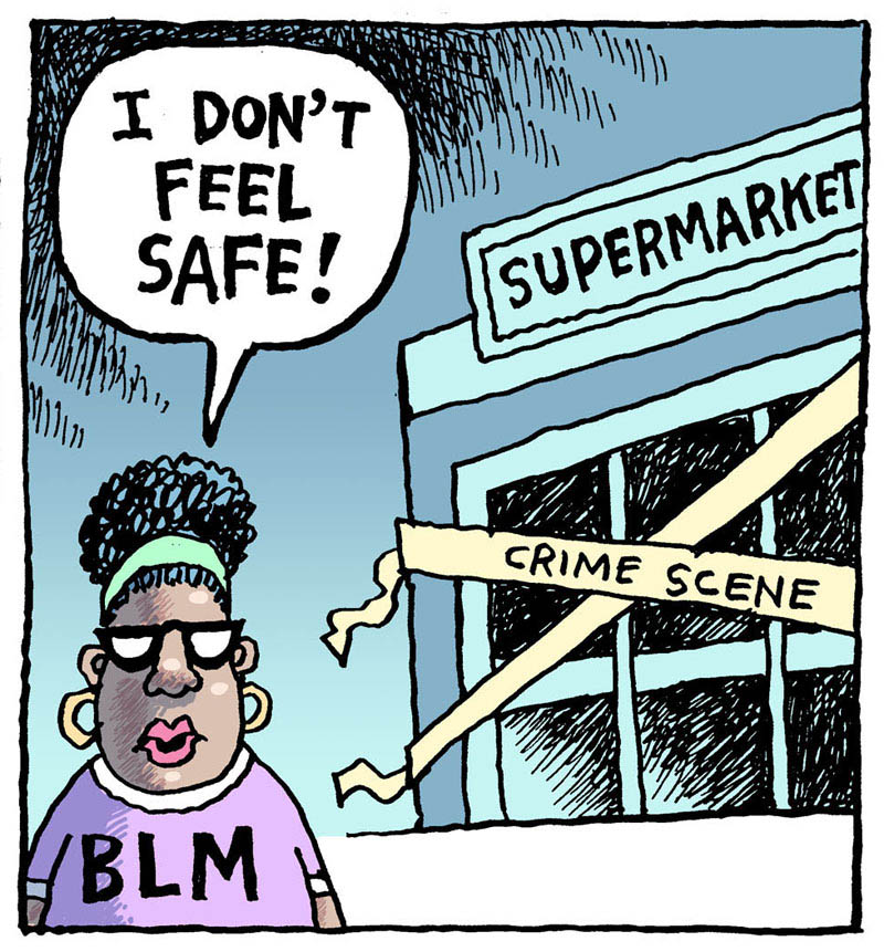 https://cdn.tinyview.com/rob-rogers/2022/11/29/feeling-safe/20221129_Feeling_Safe2.jpg
