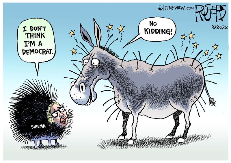 https://cdn.tinyview.com/rob-rogers/2022/12/13/kyrsten-sinema/20221213_Kyrsten_Sinema.jpg