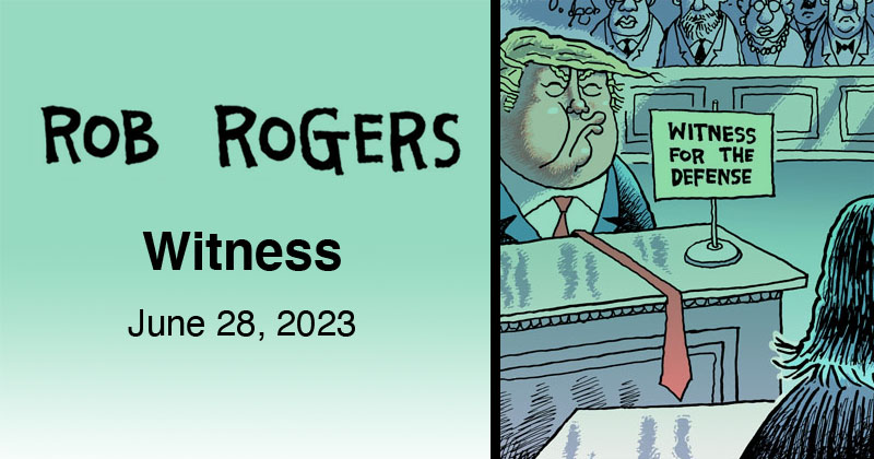 Witness