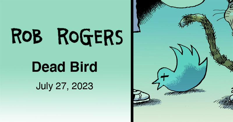 Dead Bird