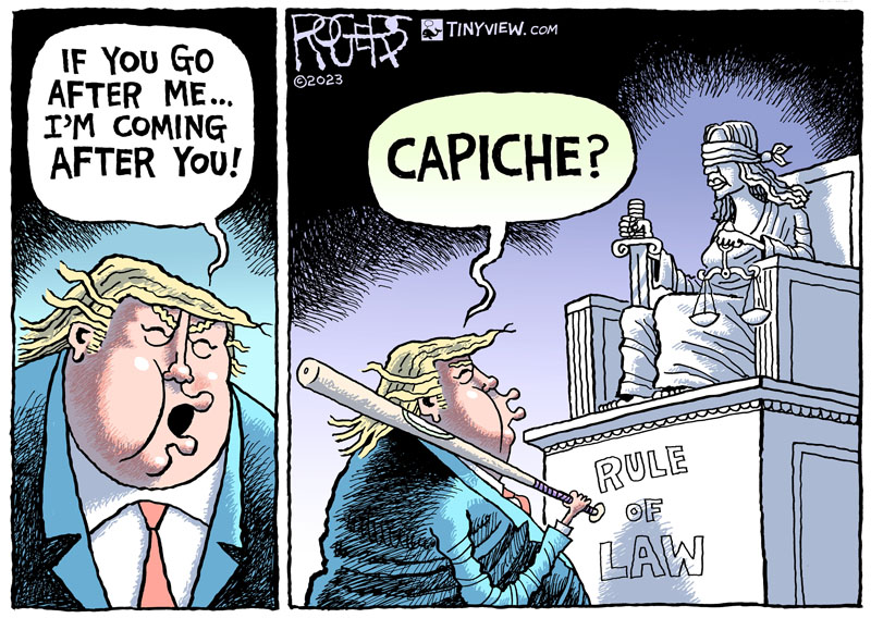 https://cdn.tinyview.com/rob-rogers/2023/08/11/the-don/20230811_The_Don.jpg