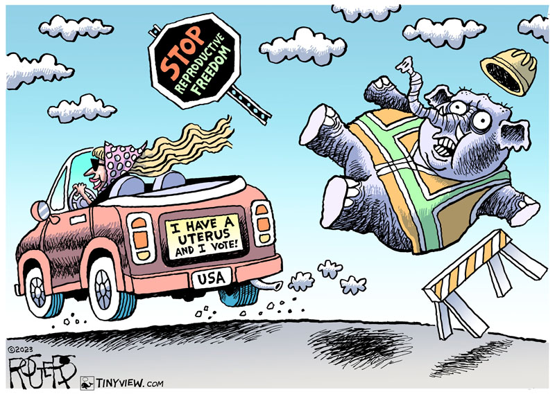https://cdn.tinyview.com/rob-rogers/2023/11/10/reproductive-vote/20231110_Reproductive_Vote.jpg
