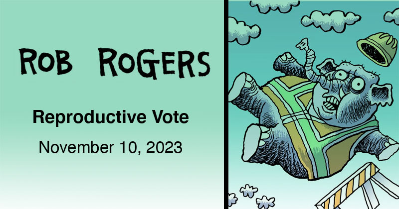Reproductive Vote