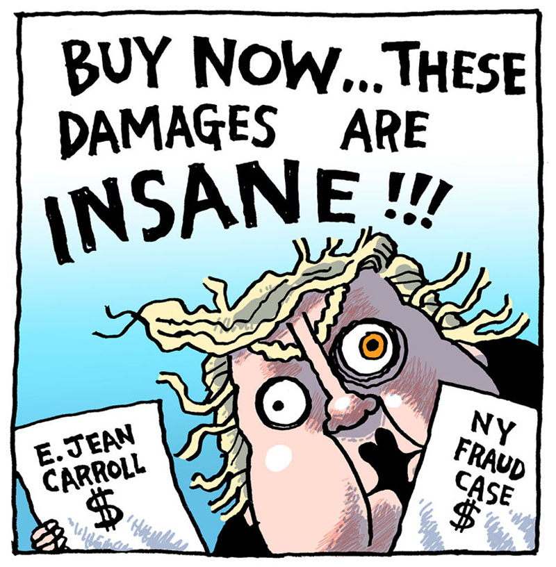 https://cdn.tinyview.com/rob-rogers/2024/02/20/damages/20240220_Damages6.jpg