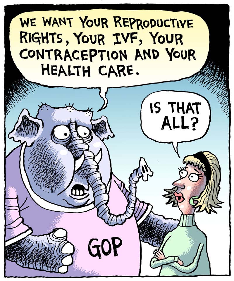 https://cdn.tinyview.com/rob-rogers/2024/03/29/reproductive-vote/20240329_Reproductive_Vote1.jpg