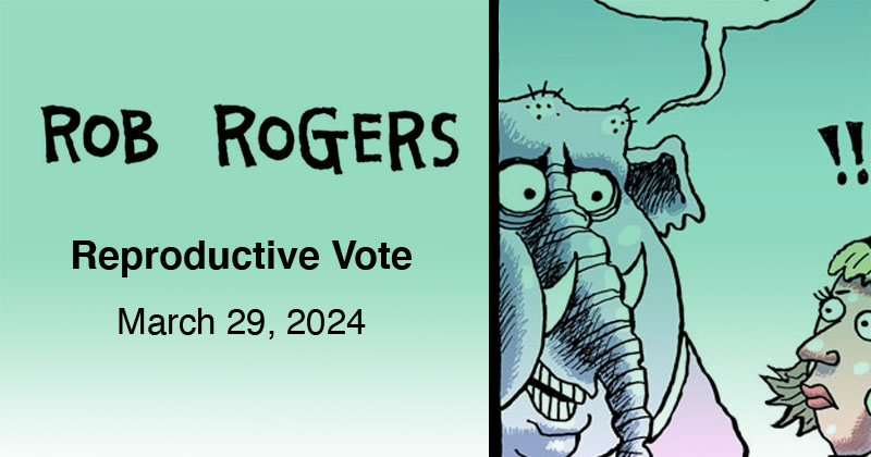 Reproductive Vote