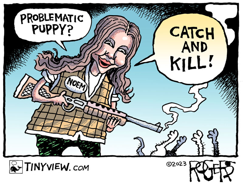 https://cdn.tinyview.com/rob-rogers/2024/05/07/catch-and-kill/20240507_Catch_and_Kill4.jpg