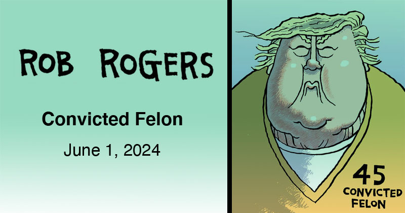 Convicted Felon