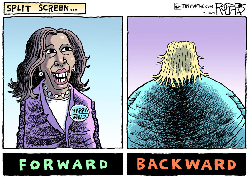 https://cdn.tinyview.com/rob-rogers/2024/08/27/split-screen/20240827_Split_Screen.jpg