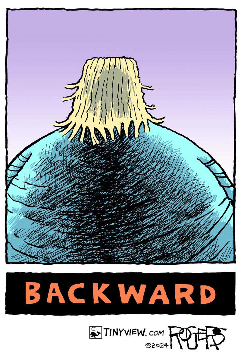 https://cdn.tinyview.com/rob-rogers/2024/08/27/split-screen/20240827_Split_Screen2.jpg