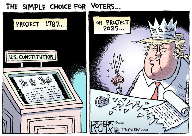 https://cdn.tinyview.com/rob-rogers/2024/11/05/the-choice/20241105_The_Choice.jpg