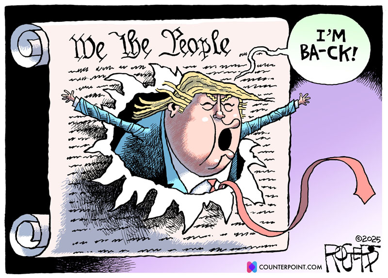 https://cdn.tinyview.com/rob-rogers/2025/01/23/constitution/20250123_Constitution.jpg