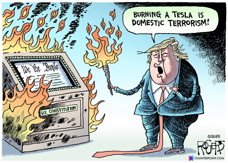https://cdn.tinyview.com/rob-rogers/2025/03/21/domestic-terror/20250321_Domestic_Terror.jpg