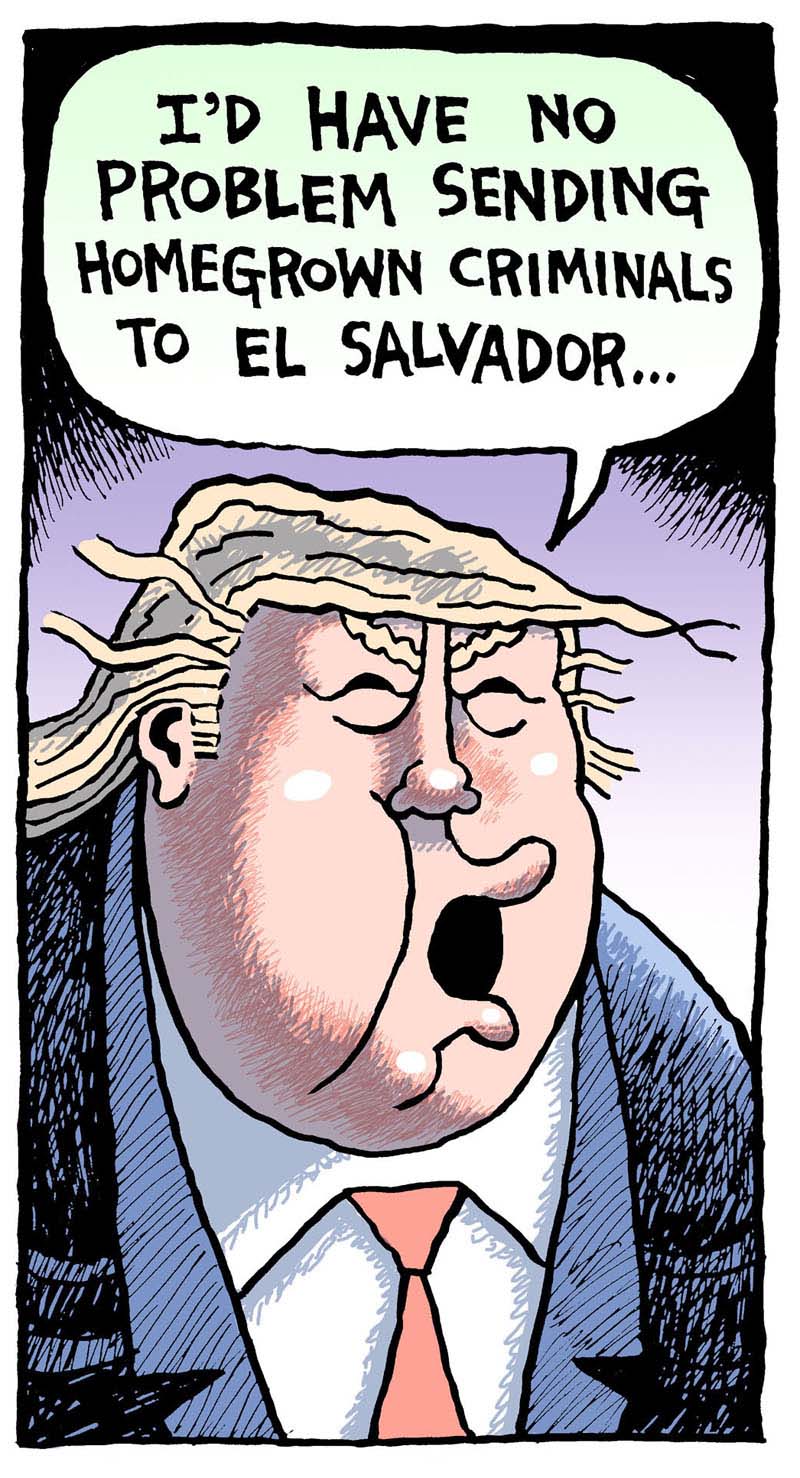 https://cdn.tinyview.com/rob-rogers/2025/04/25/homegrown/20250425_Homegrown1.jpg