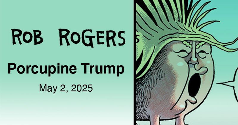 Porcupine Trump
