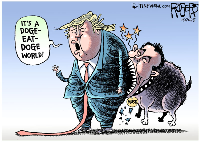 https://cdn.tinyview.com/rob-rogers/2025/06/06/doge-eat-doge/20250606_Doge_Eat_Doge.jpg