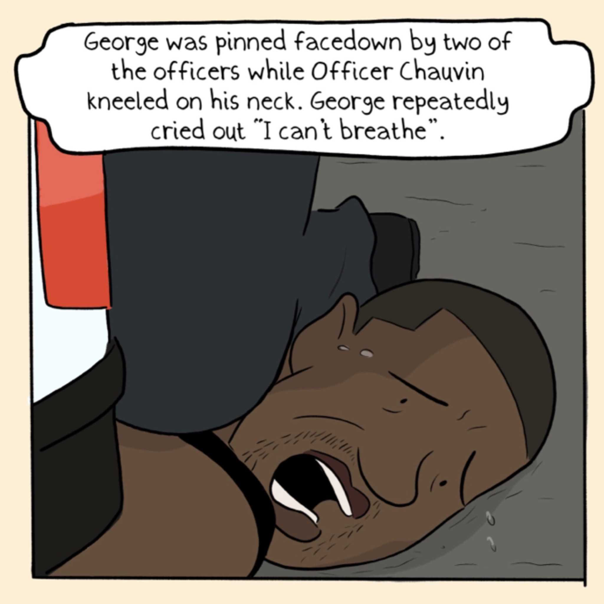 https://cdn.tinyview.com/say-their-names/2021/04/01/george-floyd/10.jpg