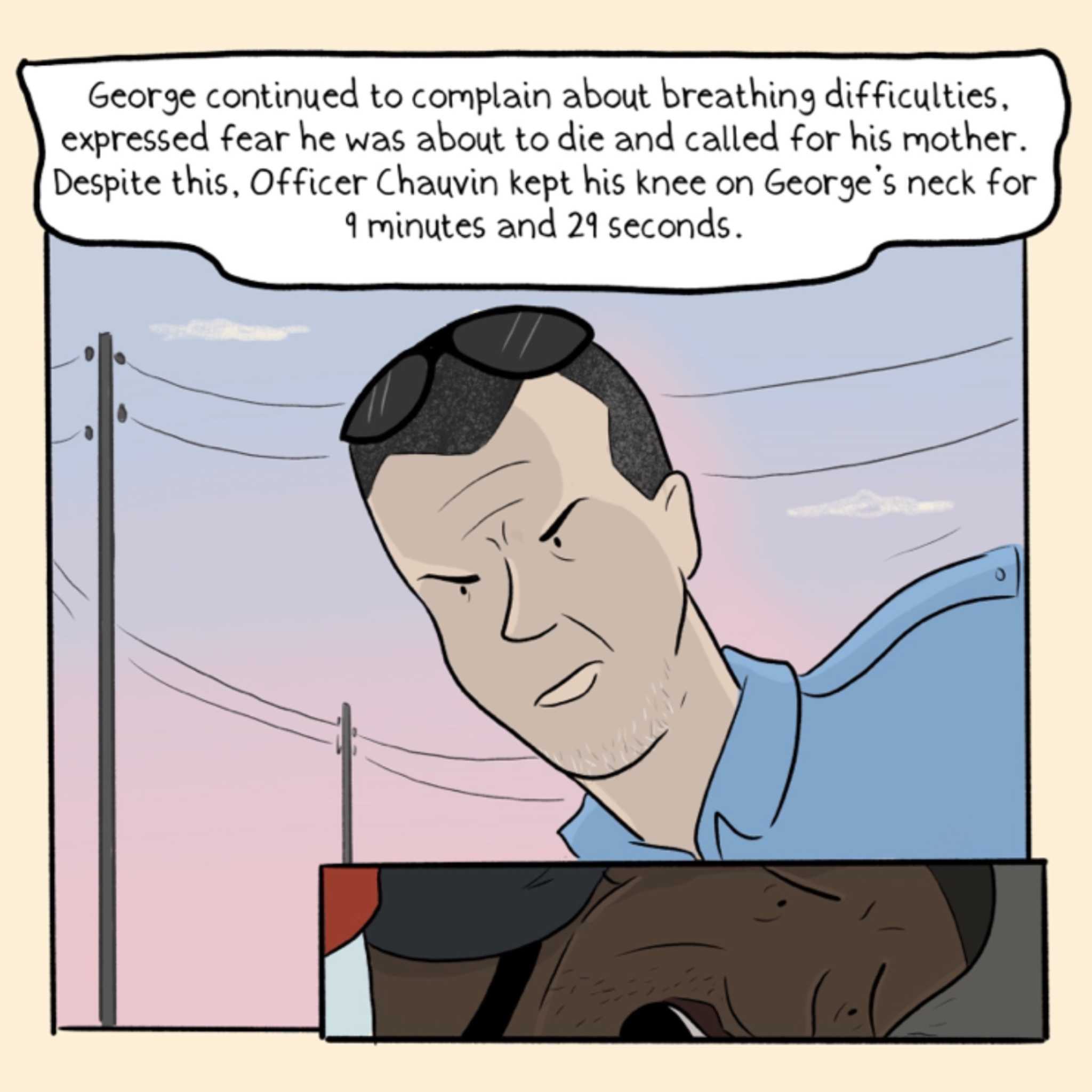 https://cdn.tinyview.com/say-their-names/2021/04/01/george-floyd/11.jpg