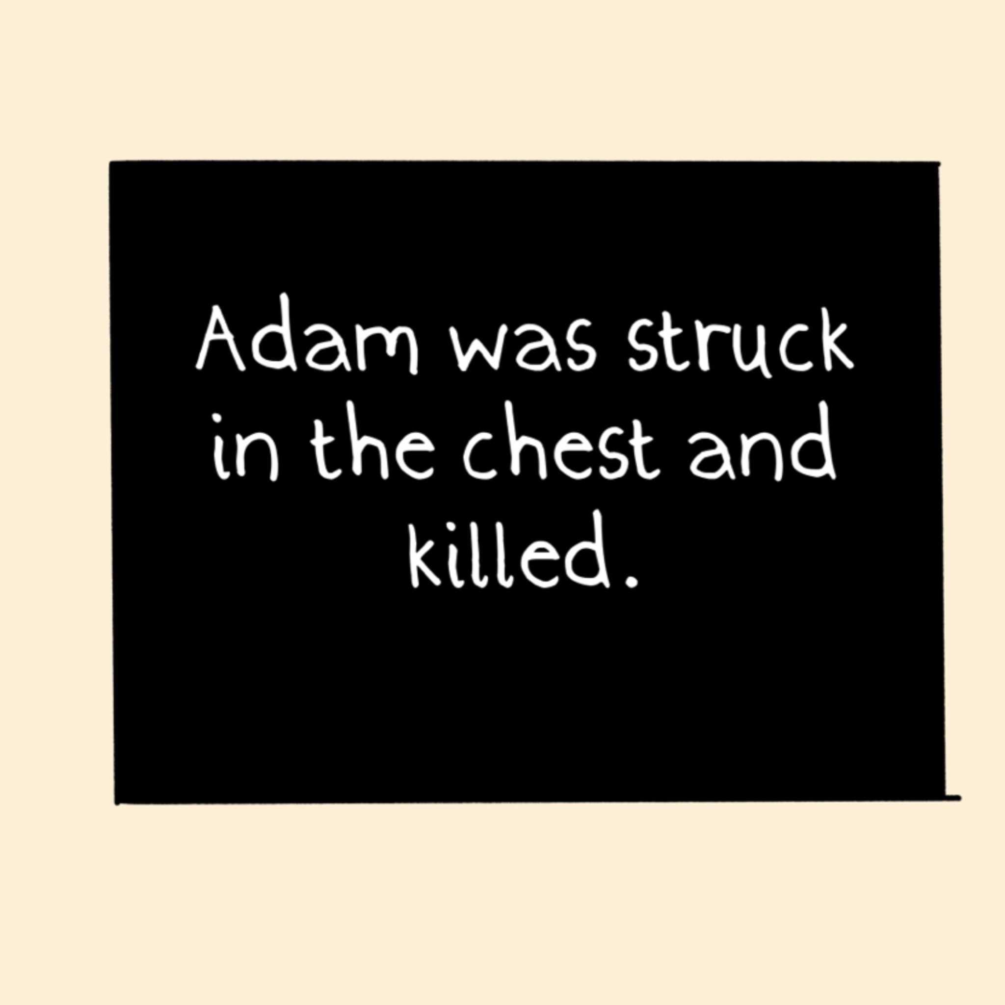https://cdn.tinyview.com/say-their-names/2021/04/23/adam-toledo/7.jpg