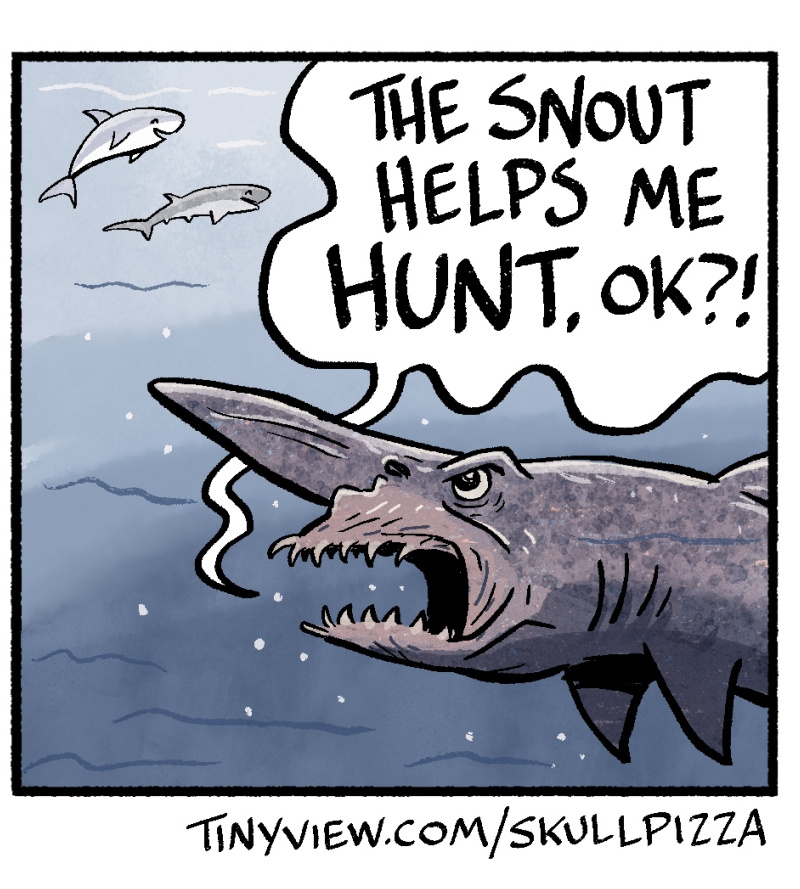 https://cdn.tinyview.com/skullpizza/2025/07/22/shork-week-nomenclature/3panel.jpg