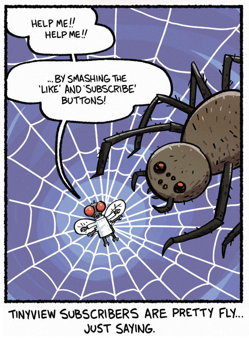 https://cdn.tinyview.com/skullpizza/2026/08/26/buzzworthy/4panel.jpg