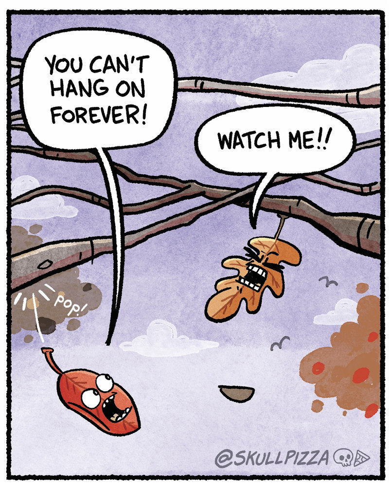 https://cdn.tinyview.com/skullpizza/2026/09/27/holding-on/2.jpg