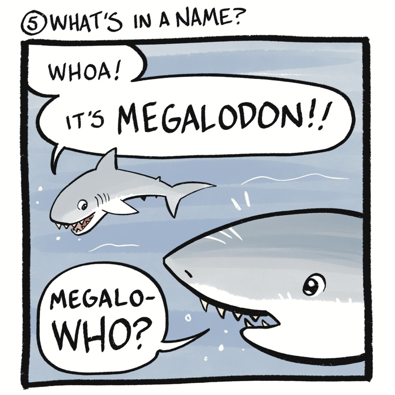 https://cdn.tinyview.com/skullpizza/2026/10/08/fish-friday-2023/13.jpg
