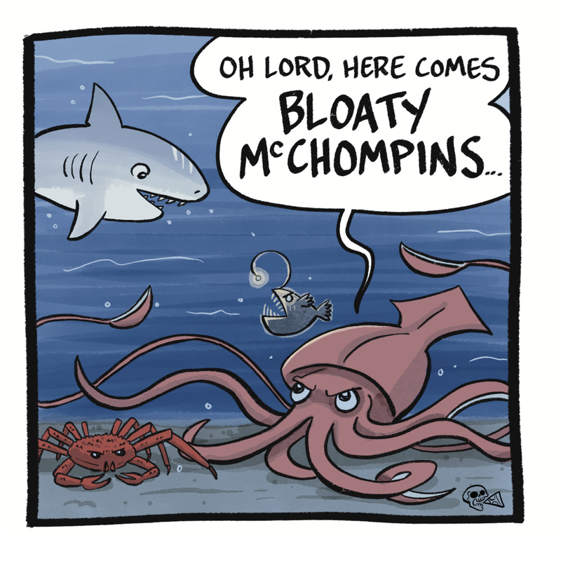 https://cdn.tinyview.com/skullpizza/2026/10/08/fish-friday-2023/15.jpg