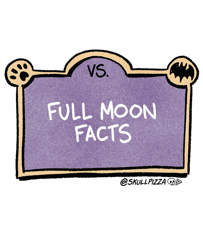 https://cdn.tinyview.com/skullpizza/2026/10/24/comictober-werewolf-vs-vampires/3panel.jpg