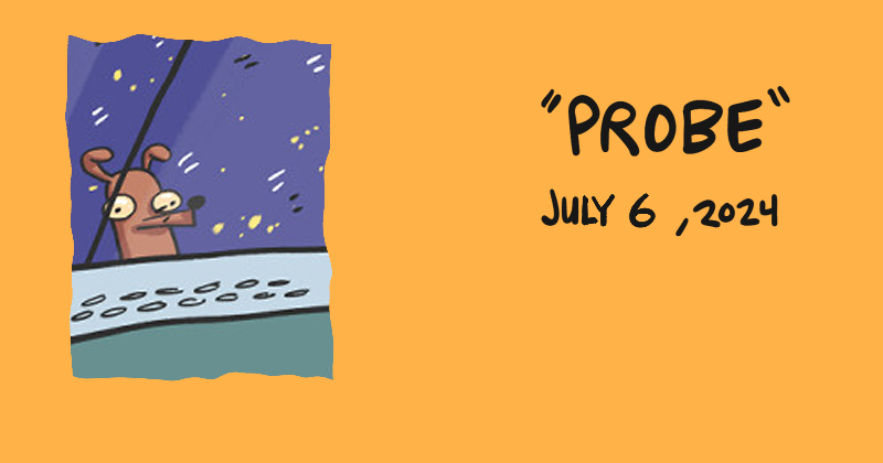 Probe