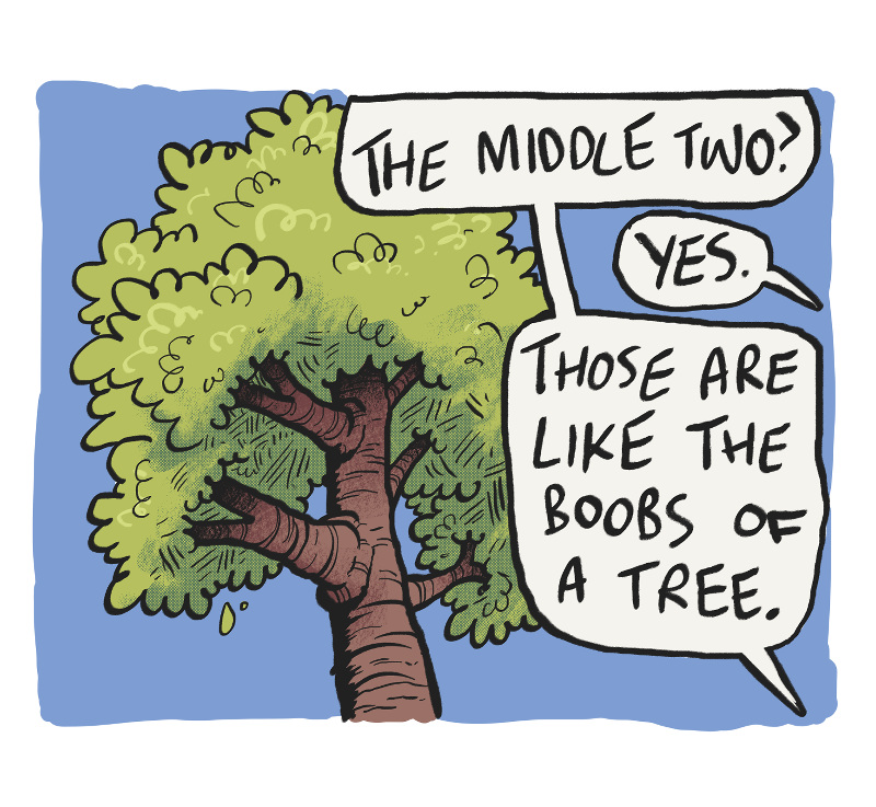 https://cdn.tinyview.com/the-other-end/2024/07/20/tree-boy/6.jpg