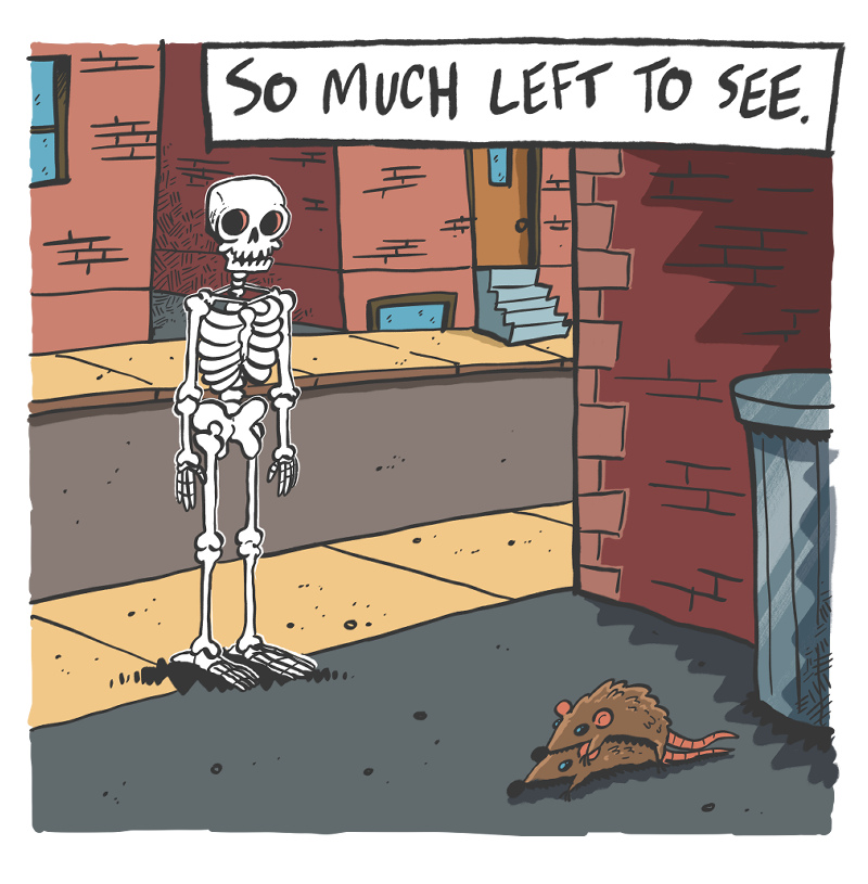 https://cdn.tinyview.com/the-other-end/2024/08/03/skellington/4.jpg
