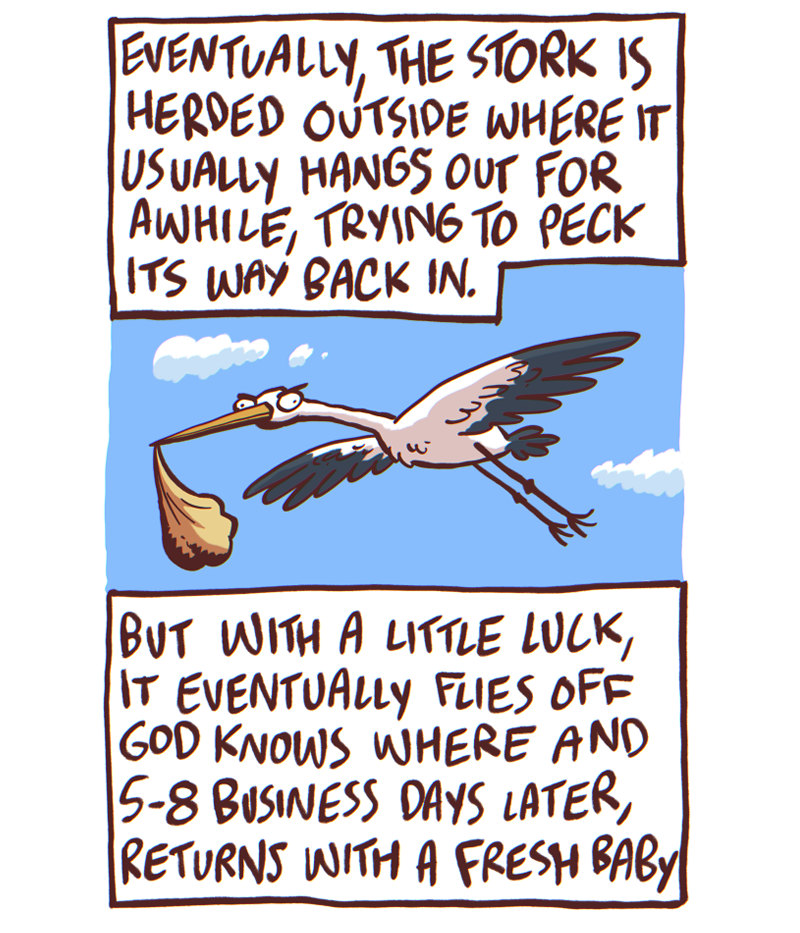 https://cdn.tinyview.com/the-other-end/2024/10/12/stork/11.jpg