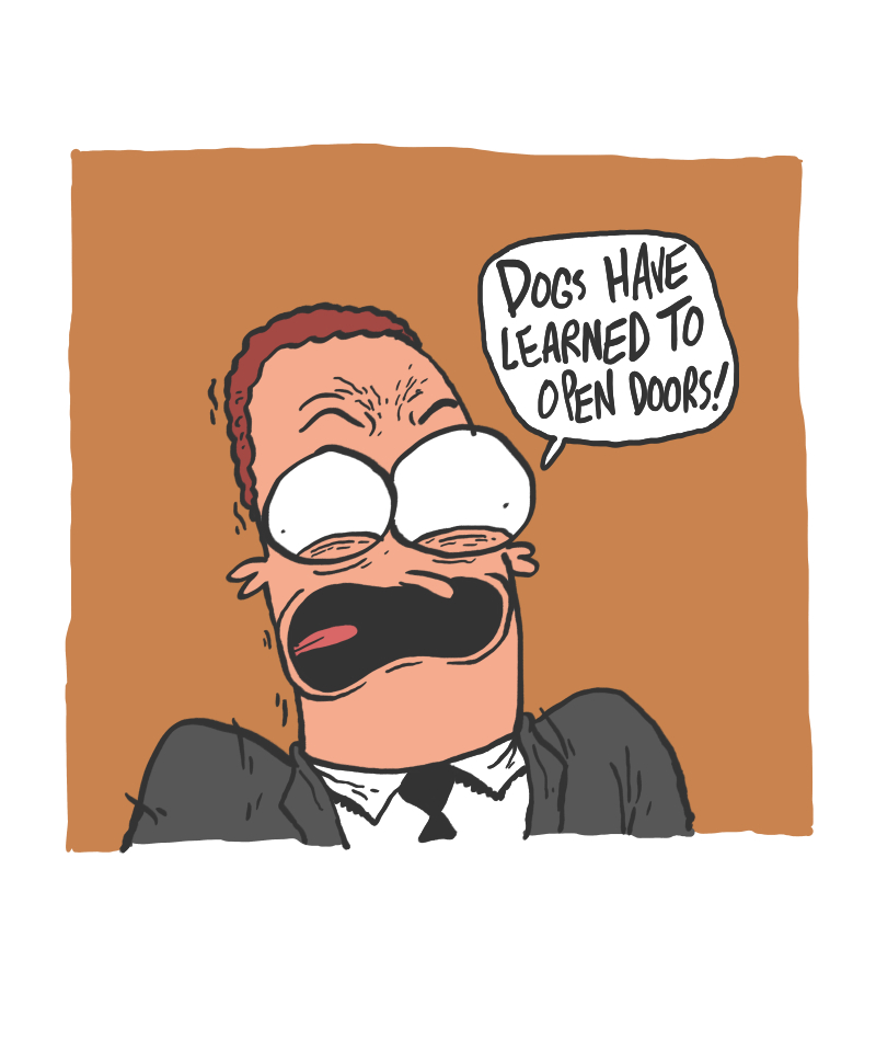 https://cdn.tinyview.com/the-other-end/2024/10/25/dog-doors/2.jpg