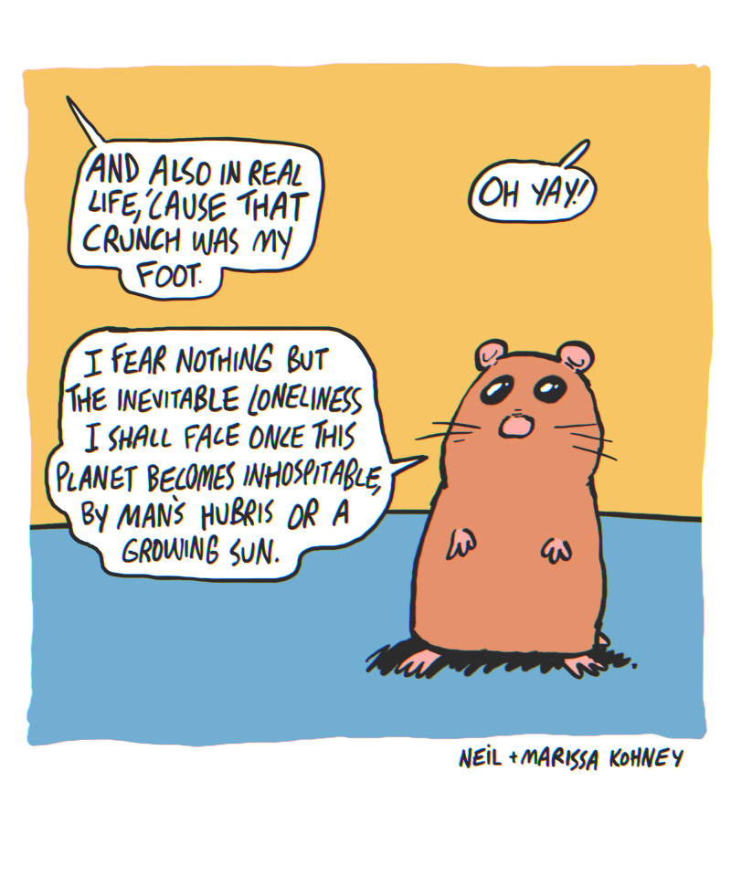 https://cdn.tinyview.com/the-other-end/2024/11/22/hamster/18.jpg