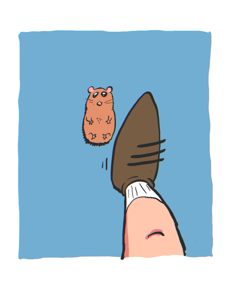 https://cdn.tinyview.com/the-other-end/2024/11/22/hamster/5.jpg