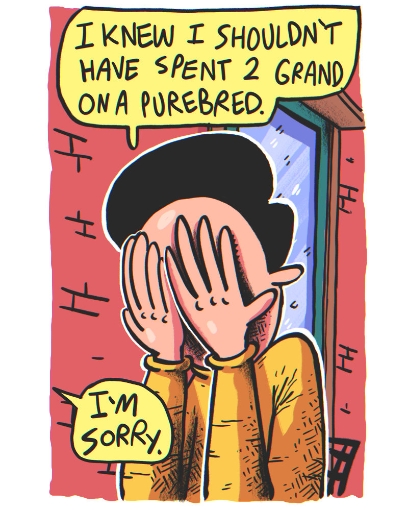 https://cdn.tinyview.com/the-other-end/2024/11/23/good-smart-boy/3.jpg