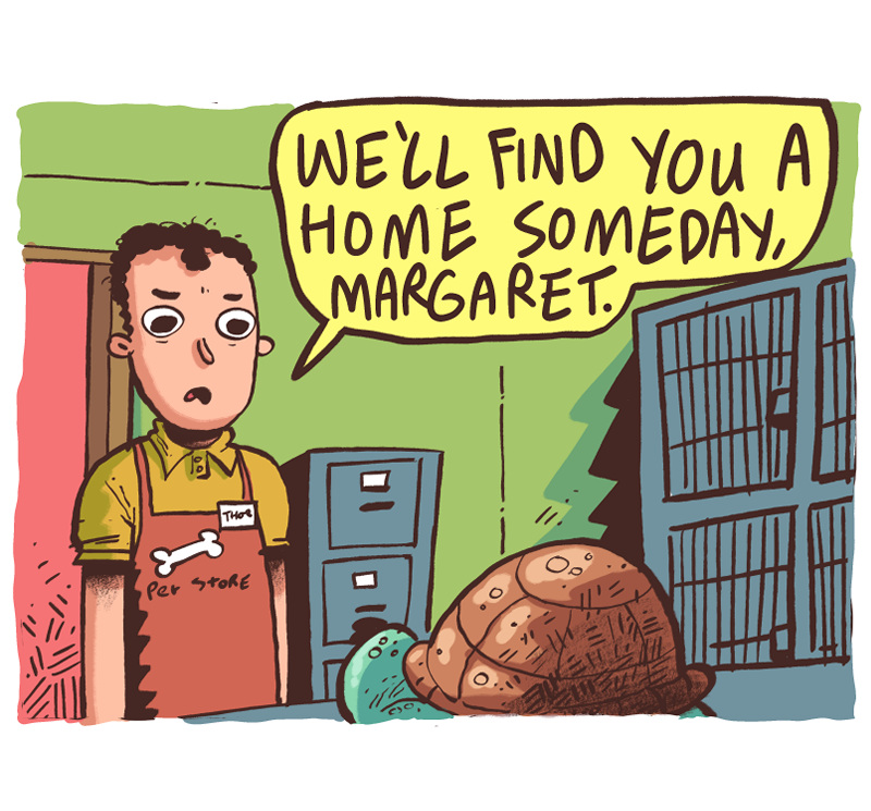 https://cdn.tinyview.com/the-other-end/2025/01/11/margaret-the-turtle-with-bangs/13.jpg
