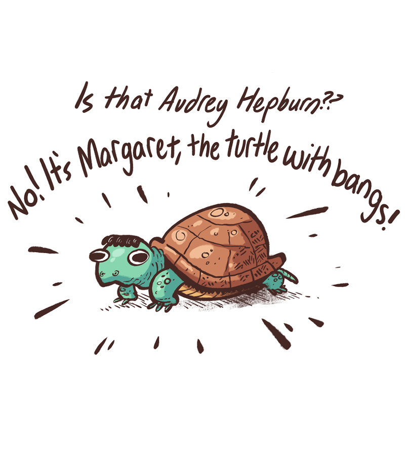 https://cdn.tinyview.com/the-other-end/2025/01/11/margaret-the-turtle-with-bangs/4.jpg