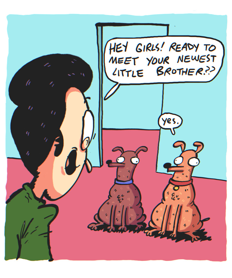 https://cdn.tinyview.com/the-other-end/2025/01/31/the-one/1.jpg