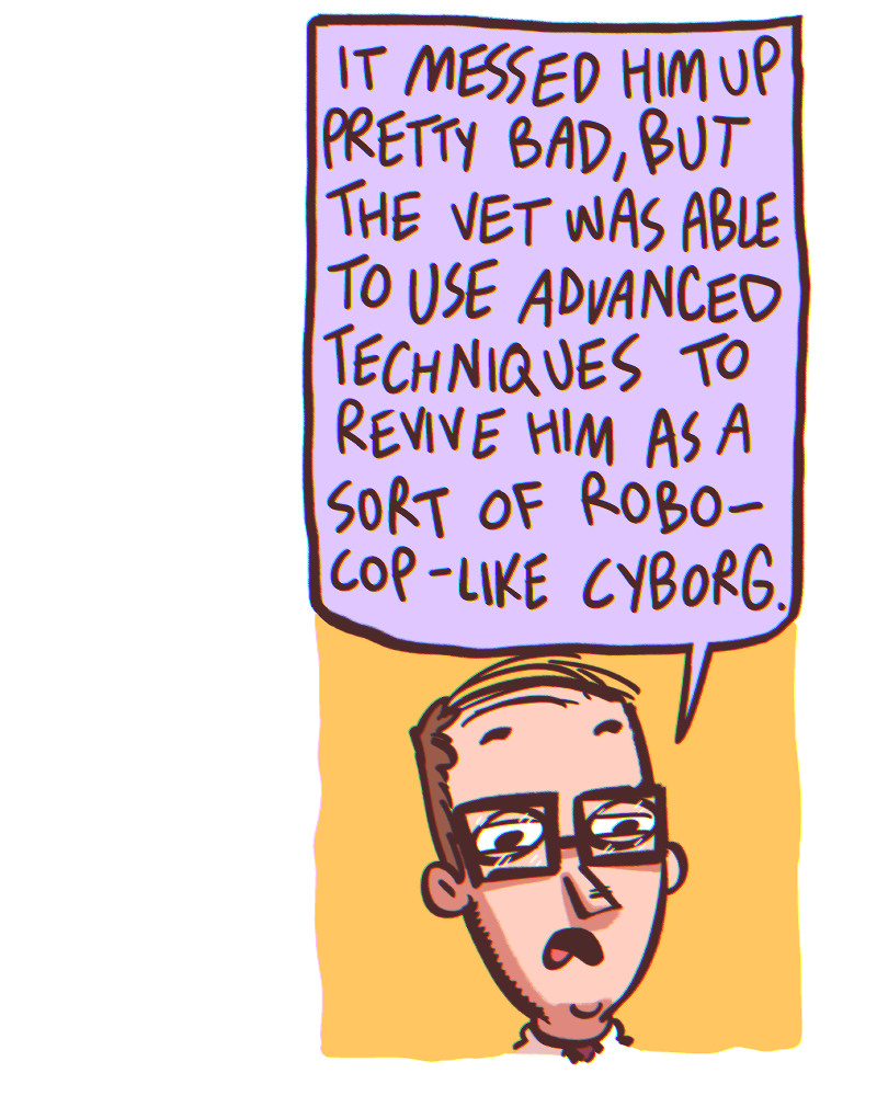 https://cdn.tinyview.com/the-other-end/2025/02/22/robodog/2.jpg
