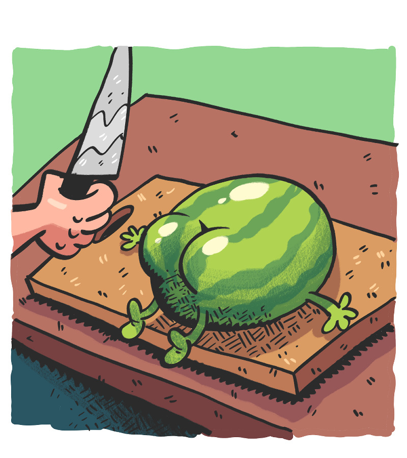 https://cdn.tinyview.com/the-other-end/2025/03/01/watermelon/6.jpg
