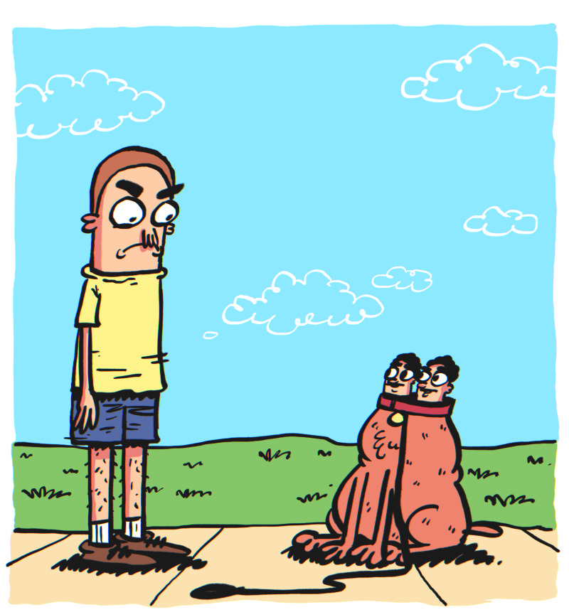 https://cdn.tinyview.com/the-other-end/2025/04/11/walk-the-dog/14.jpg