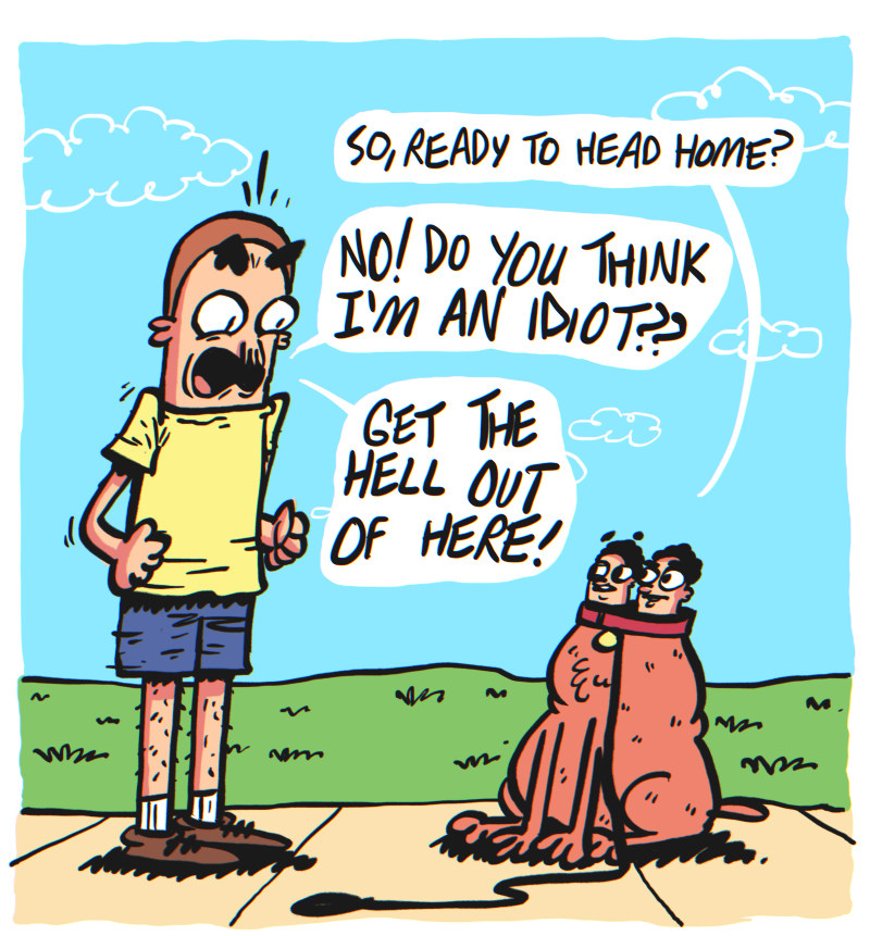 https://cdn.tinyview.com/the-other-end/2025/04/11/walk-the-dog/15.jpg