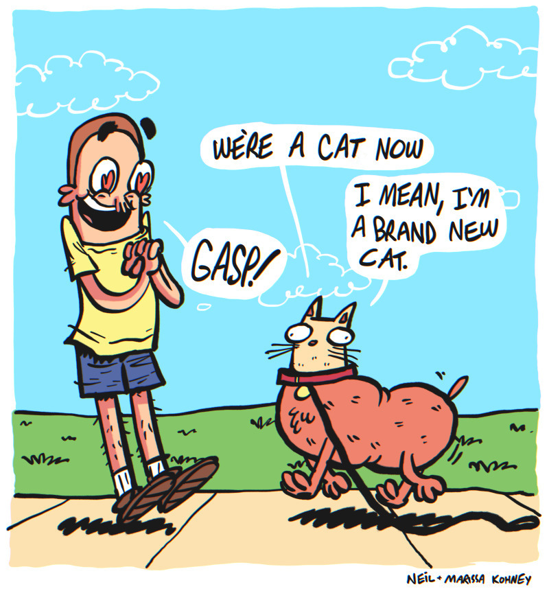 https://cdn.tinyview.com/the-other-end/2025/04/11/walk-the-dog/18alt.jpg